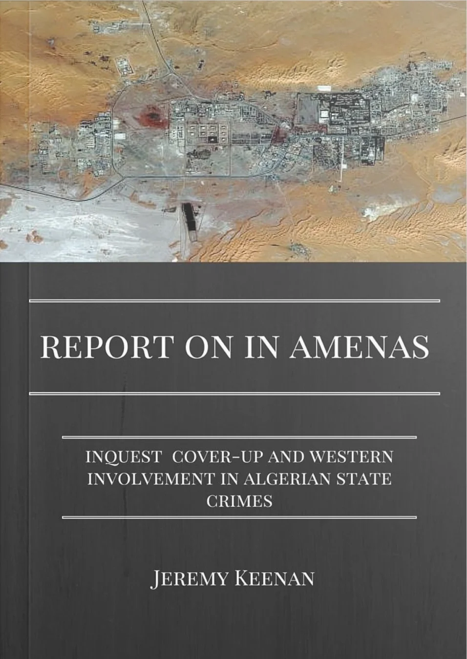 Report on In Amenas - report cover